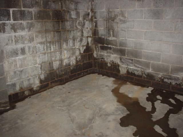 Basement Wall Leaking At Floor – Clsa Flooring Guide