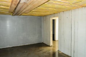 Basement Waterproofing Clinton Township MI