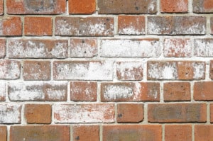 Efflorescence On Brick